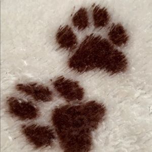 Meet your Posher, Dolores